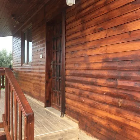 Apart-hotel Magic ağaç ev